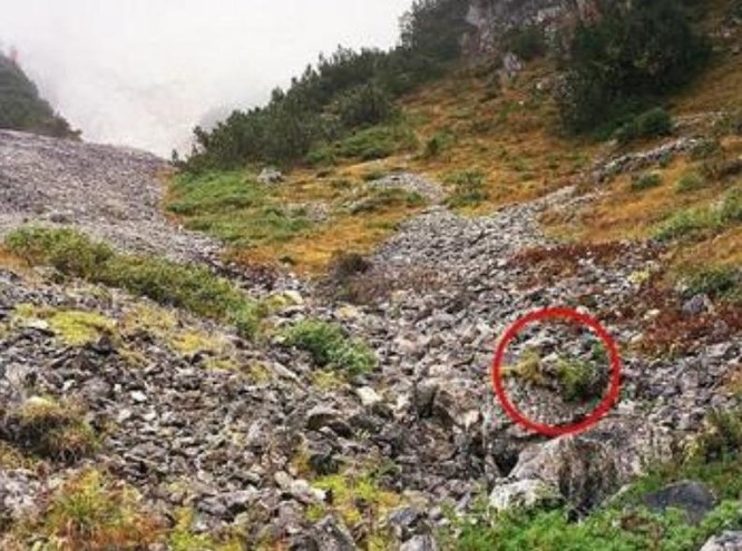Đặc công Việt Nam oai hùng "xuất quỷ nhập thần" khiến báo Trung Quốc kính nể ảnh 12
