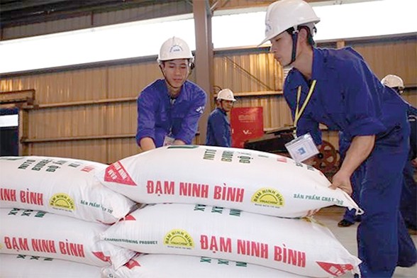 Bộ Công thương công bố "góc tối" Dự án đạm Ninh Bình ảnh 1