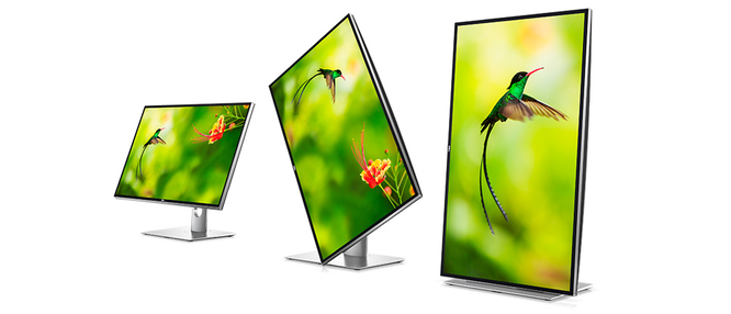 Dell ra màn hình 8K 31,5 inch đầu tiên trên thế giới, giá 5.000 USD ảnh 1