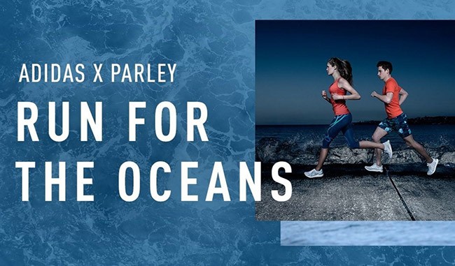 “Run for the Oceans”: Cùng chạy để bảo vệ đại dương xanh ảnh 1