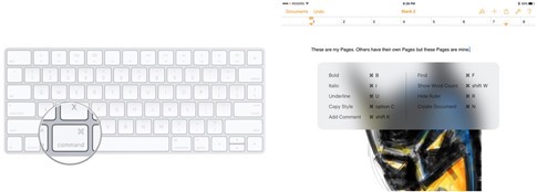 4 mẹo khai thác bàn phím Bluetooth trên iPhone, iPad hiệu quả ảnh 4