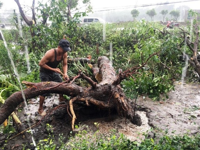 Mưa lũ hoành hành ở miền Trung, chia cắt đường sắt Bắc Nam ảnh 3
