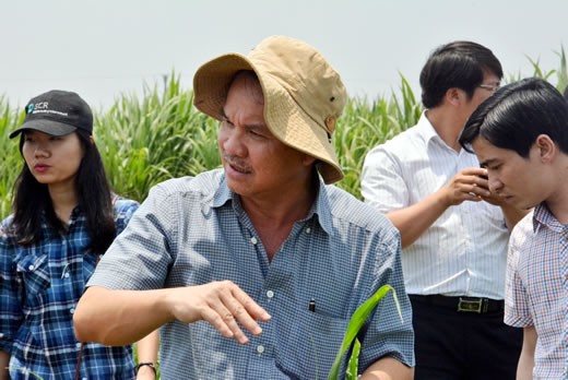 Đàn bò HAGL hay chuyện “xén lông cừu”? ảnh 1