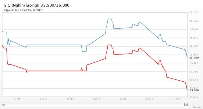 Giá vàng SJC và tỷ giá USD/VND: Chia nửa buồn vui! ảnh 2