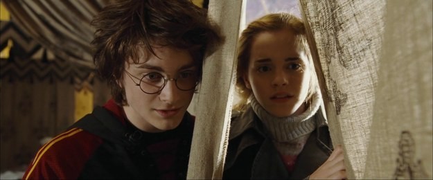 Tái hiện bộ truyện Harry Potter qua 100 khoảnh khắc đẹp nhất ảnh 37