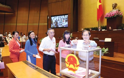 Bầu cử Quốc hội: Cần khuyến khích, tạo điều kiện cho các ứng cử viên tự do ảnh 1