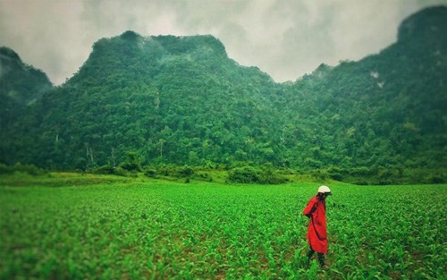 Các cảnh quay trực thăng hứa hẹn đưa lên màn ảnh rộng những khung hình Việt Nam đẹp mãn nhãn. Ảnh: Đạo diễn Jordan Vogt-Roberts.