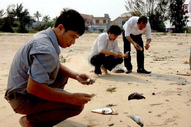 Video: Nhìn lại 84 ngày truy tìm nguyên nhân thảm họa cá chết ảnh 5
