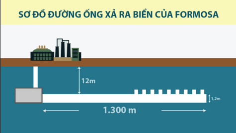 Video: Nhìn lại 84 ngày truy tìm nguyên nhân thảm họa cá chết ảnh 3