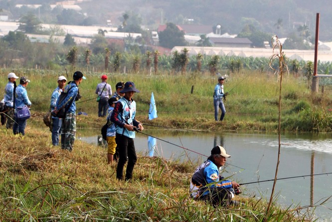 Cuộc thi câu cá lóc Tây Nguyên ảnh 15