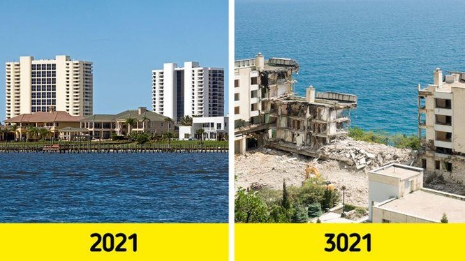 Äiá»u gÃ¬ sáº½ xáº£y ra náº¿u nhÃ¢n loáº¡i ângá»§ quÃªnâ sau 1.000 nÄm? áº£nh 2