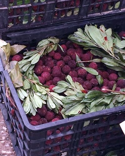 Mỗi thùng thanh mai 8 kg chỉ có giá 50.000-60.000 đồng