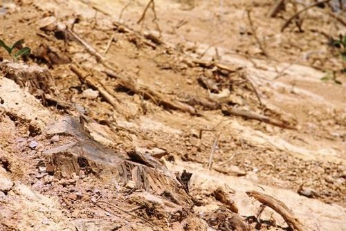 Hà Tĩnh: Thi công ẩu tại công trình hơn 30 tỷ ảnh 1
