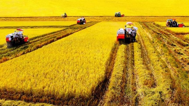 TS Đặng Kim Sơn: ‘Phải thay đổi tư duy người cày có ruộng’ ảnh 1