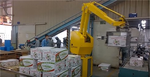 Robot bốc xếp hàng lên pallet ảnh 5