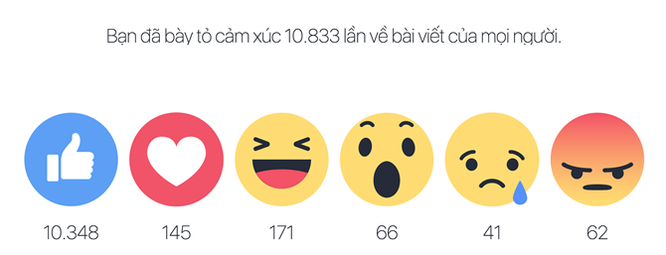 Phát sốt với Facebook ‘Year In Review 2016’ mới ảnh 1