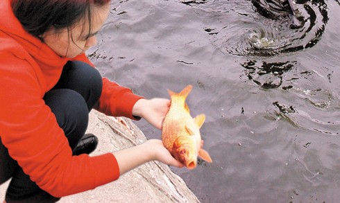 Vì sao ngày 23 tháng Chạp là ngày “mở cổng trời“? ảnh 1