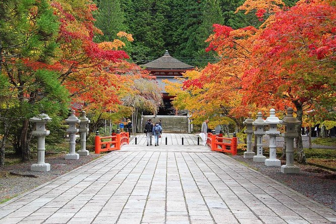 Một phút lắng lòng trước vẻ đẹp của Kyoto, Nhật Bản ảnh 4