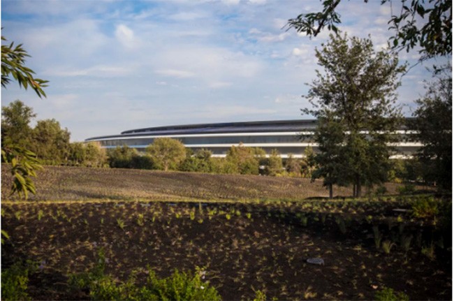 Choáng ngợp trước khuôn viên làm việc mới của Apple – Apple Park ảnh 9