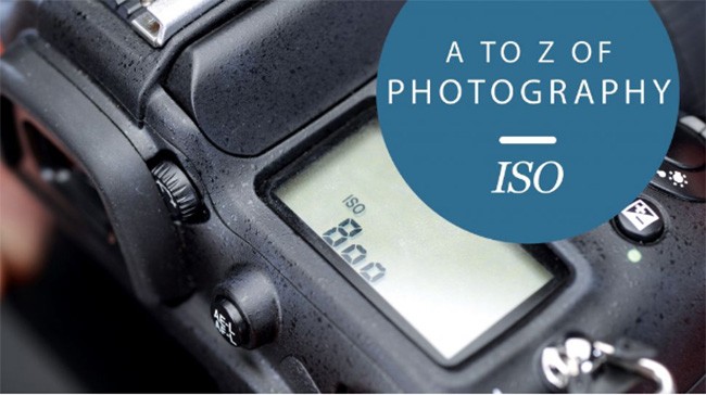 Tìm hiểu về độ nhạy sáng ISO trong nhiếp ảnh ảnh 1