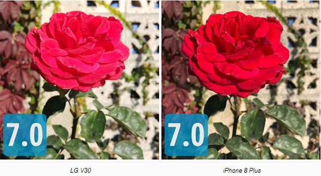 So sánh camera “thần thánh” của Galaxy Note 8, LG V30, HTC U11 và iPhone 8 Plus ảnh 3