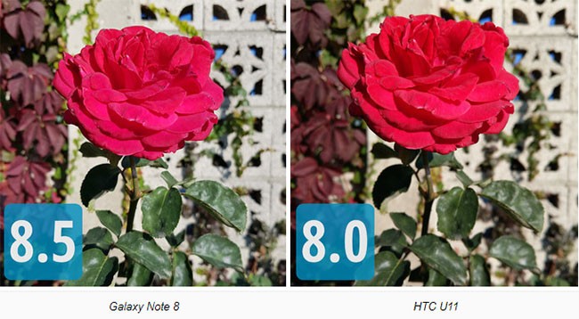 So sánh camera “thần thánh” của Galaxy Note 8, LG V30, HTC U11 và iPhone 8 Plus ảnh 4