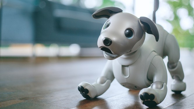 Cùng khám phá những robot xuất sắc nhất tại CES 2018 ảnh 3