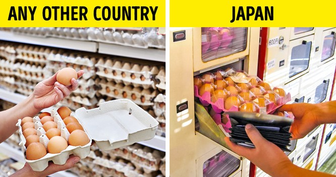 Sự thật về cuộc sống của người Nhật khiến thế giới bất ngờ ảnh 10