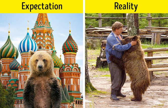 Bật mí 10 sự thật thú vị về đất nước Nga mà bấy lâu nay nhiều người luôn nhầm tưởng ảnh 2