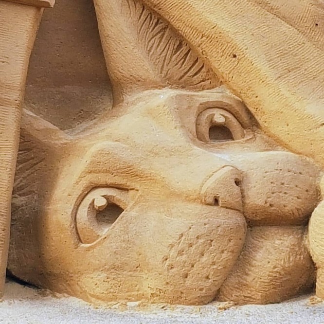 Chiêm ngưỡng 20 tác phẩm nghệ thuật công phu từ cát ảnh 16