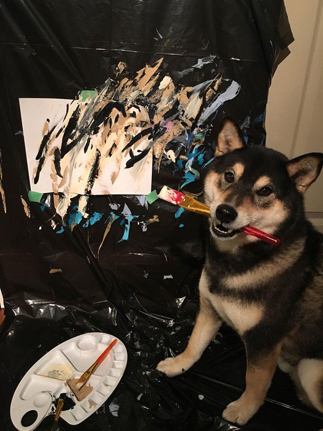 Chú chó Shiba Inu được chủ dạy vẽ tranh, kiếm tới 5000 USD từ tranh vẽ ảnh 1