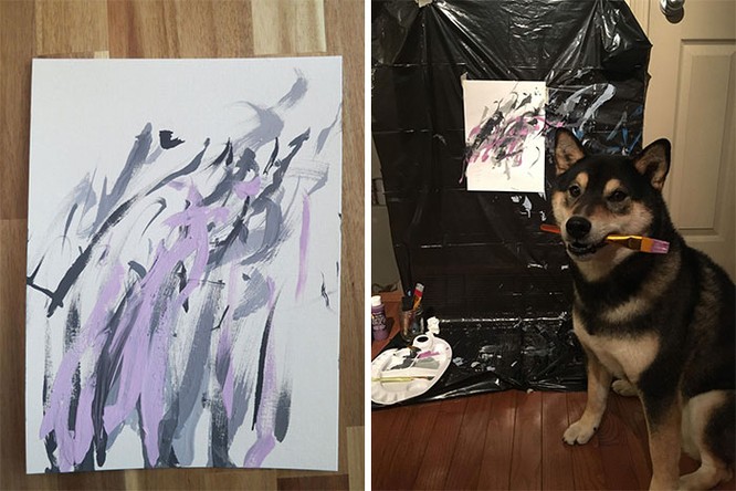 Chú chó Shiba Inu được chủ dạy vẽ tranh, kiếm tới 5000 USD từ tranh vẽ ảnh 13