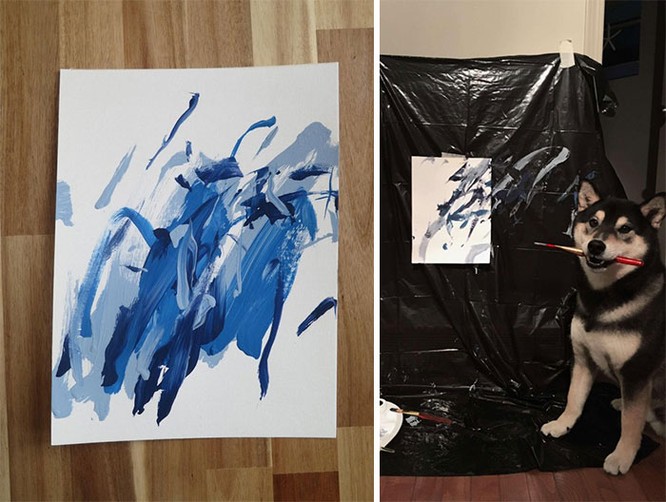 Chú chó Shiba Inu được chủ dạy vẽ tranh, kiếm tới 5000 USD từ tranh vẽ ảnh 7