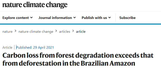 "Lá phổi của Trái đất" đang kêu cứu! Rừng nhiệt đới Amazon thải ra nhiều CO2 hơn lượng hấp thụ ảnh 1