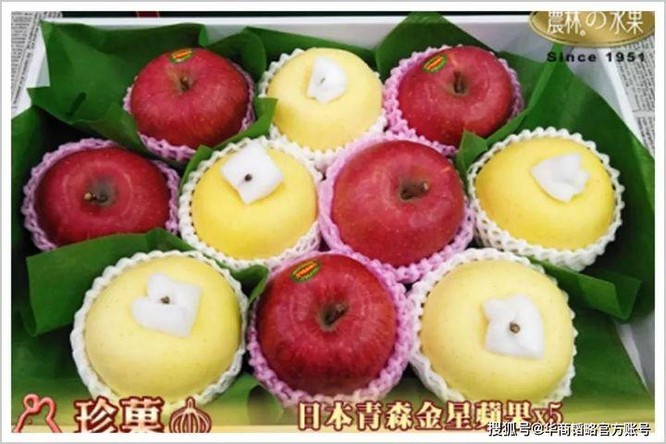 Vì sao hoa quả ở Nhật Bản rất đắt, một quả dưa có thể bán tới nửa tỉ đồng? ảnh 2