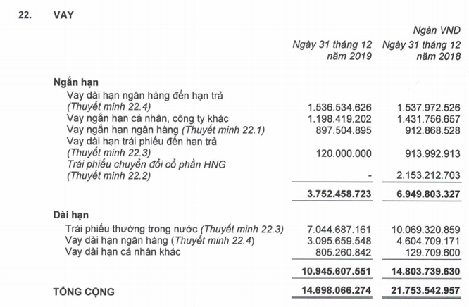 HAG báo lỗ ròng 1.609 tỷ đồng năm 2019 ảnh 3