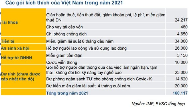 BVSC: Việt Nam vẫn còn dư địa cho các gói kích thích kinh tế lớn ảnh 1