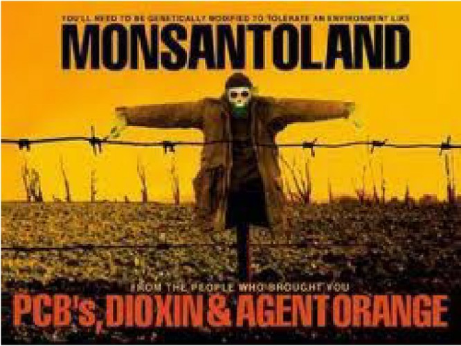 Hãng Monsanto phải bồi thường 289 triệu USD cho một người làm vườn Mỹ ảnh 3
