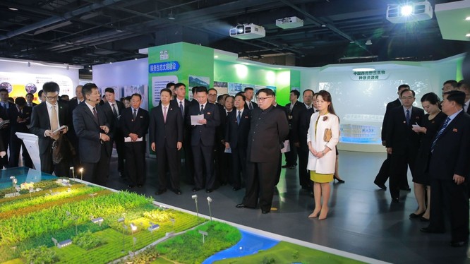 Từ bỏ cạnh tranh bất đối xứng quân sự, ông Kim Jong Un chuyển hướng chiến lược phát triển đất nước ảnh 3