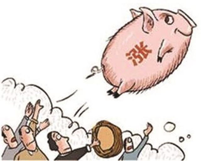 Dân Trung Quốc than trời vì giá thịt lợn “trên trời” ảnh 3