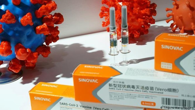 Vì sao Singapore tuyên bố không tính ai đã tiêm vaccine Sinovac vào số người đã tiêm phòng? ảnh 1