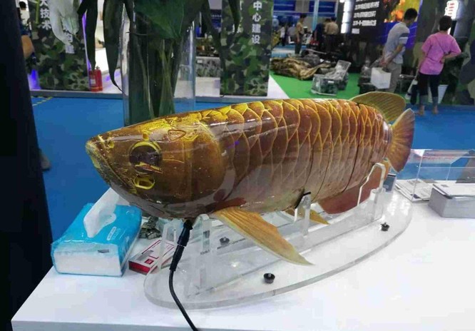 Trung Quốc bí mật phát triển tàu ngầm không người lái và cá robot dùng cho quân sự ảnh 2