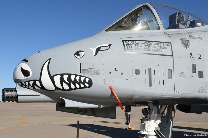 Vì sao Quốc hội Mỹ quyết bảo vệ loại máy bay "Lợn Lòi" đã hơn 40 tuổi? ảnh 2