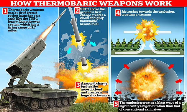 Lộ diện video lực lượng ly khai thân Nga sử dụng vũ khí nhiệt áp ở Ukraine ảnh 2