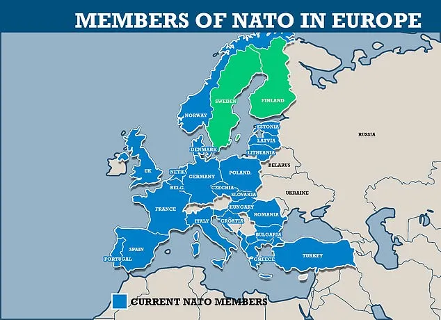 Ông Erdogan: Chừng nào tôi còn giữ chức, Phần Lan và Thụy Điển đừng hòng gia nhập NATO! ảnh 2