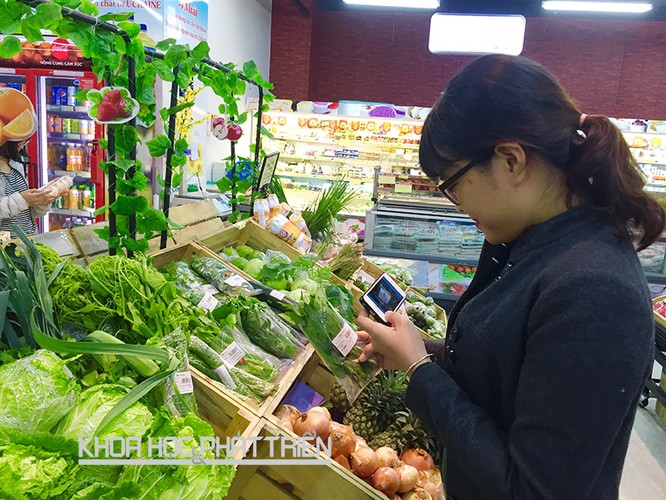 Dùng smartphone mua thực phẩm an toàn ảnh 1