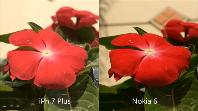 Đầu tiên về phần chụp ảnh, camera iPhone 7 Plus cho ảnh chân thực, trong khi ảnh chụp bởi Nokia 6 có xu hướng màu sắc tươi hơn.