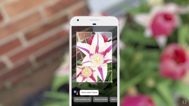 Google Lens cho chúng ta một cái nhìn rõ ràng hơn về tương lai của AR và AI ảnh 2
