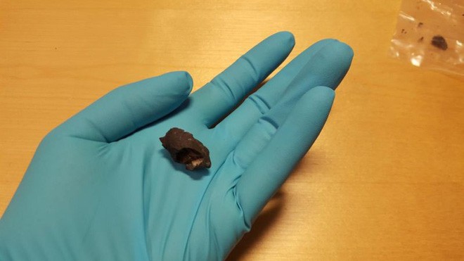 Các nhà khoa học tìm thấy 3 bã kẹo cao su của người tiền sử