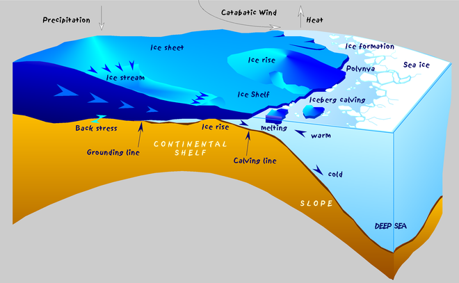 Polynya là những khu vực biển không bị đóng băng ở bên trong một khối băng.
